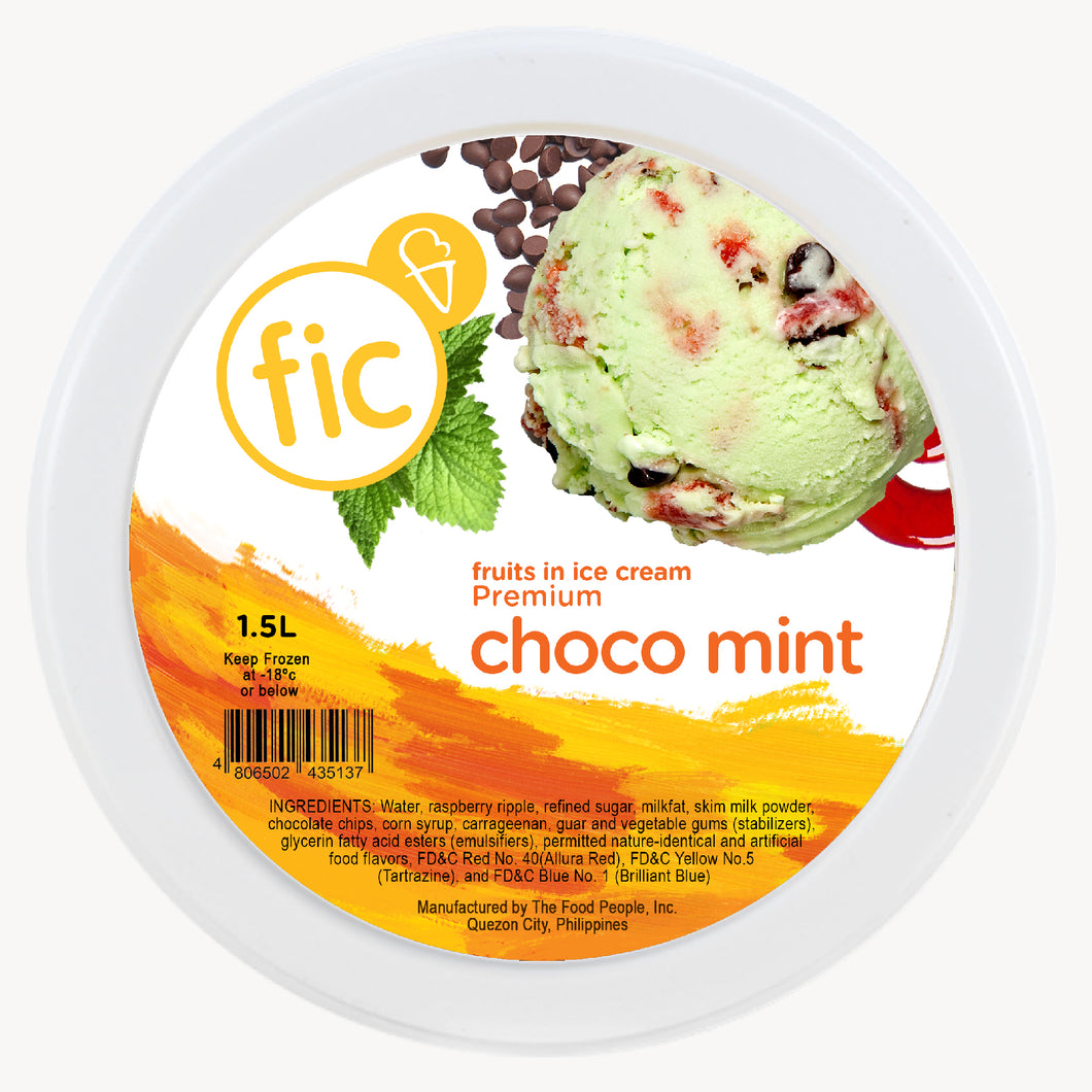 Choco Mint Ice Cream