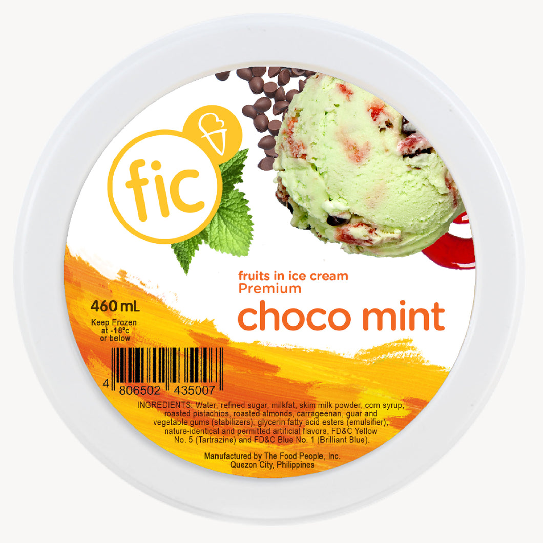 Choco Mint Ice Cream